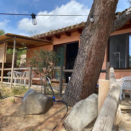 Casa Daniela Hotell Torre delle Stelle Eksteriør bilde